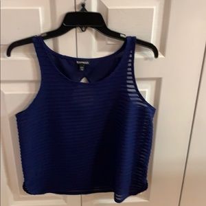 Express navy sleeveless sheer top